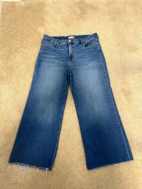 KUT from the Kloth Meg High Rise Fab Ab Wide Leg Jeans Raw Hem Size 16 VGUC